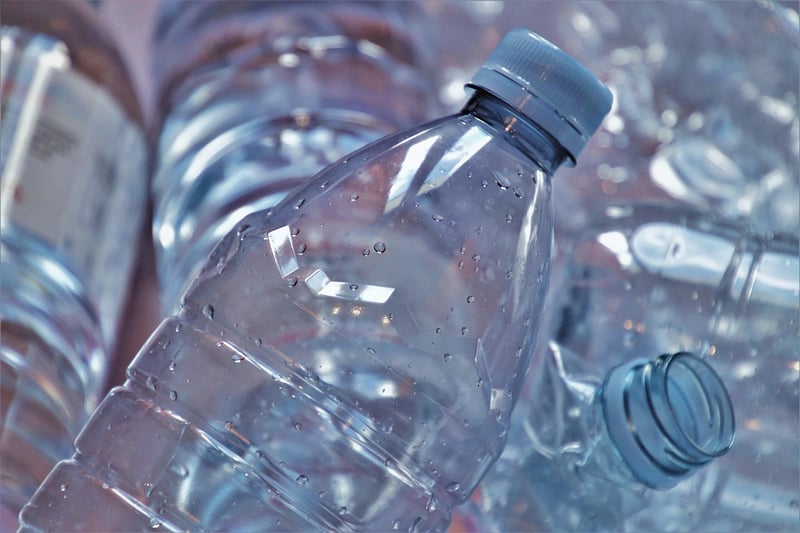Eco-Friendly Branding Strategies
